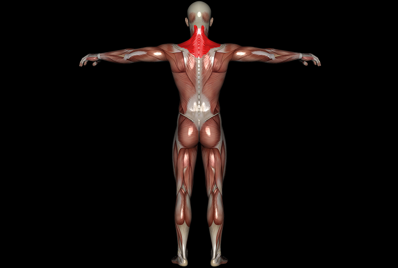 Pen Llyn Physiotherapy